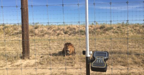 The Wild Animal Sanctuary - Keenesburg, Colorado - Boundary Survey